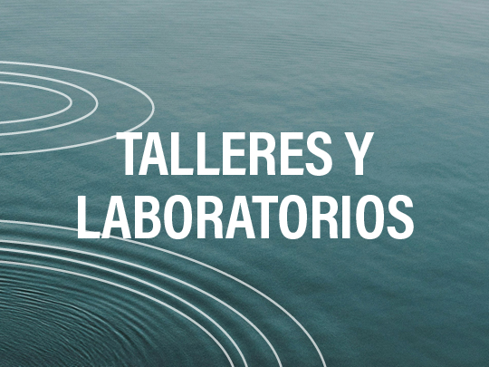 Botón talleres