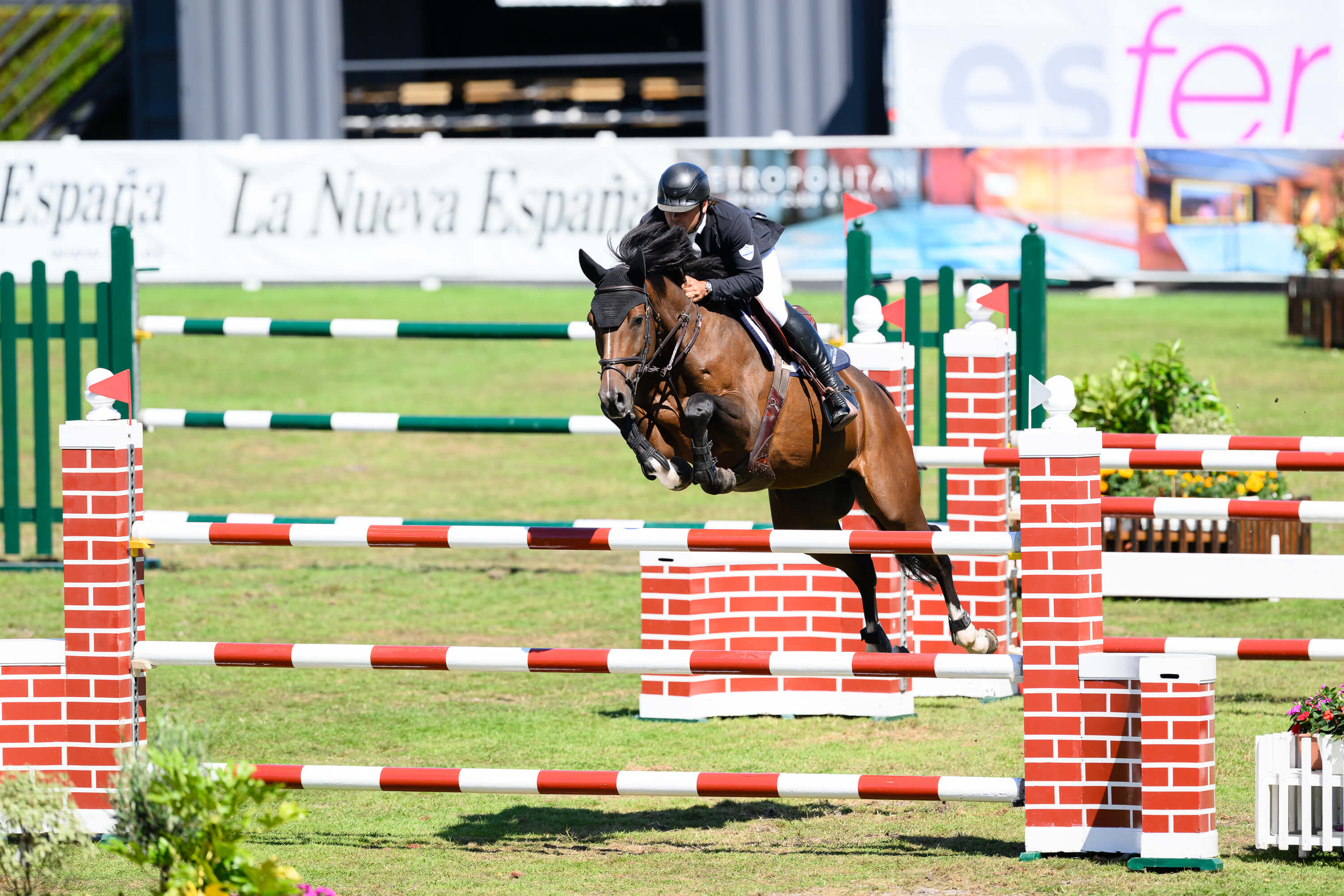 Jules Orsolini vence en el Trofeo Coca Cola con UA POU ISLAND en el Hípico de Gijón