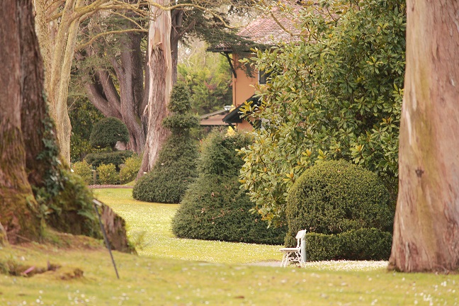 jardin