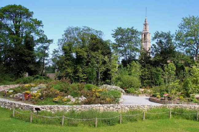 jardin