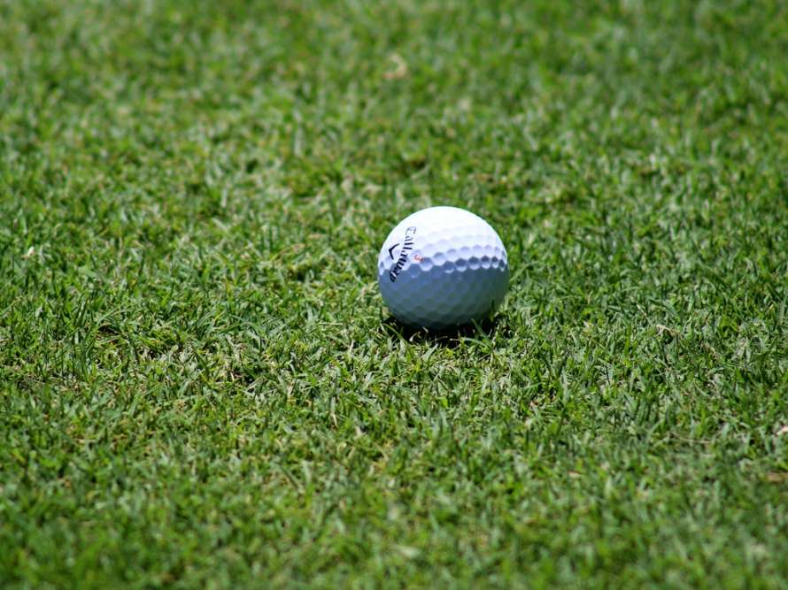 Pelota de golf sobre el cespec