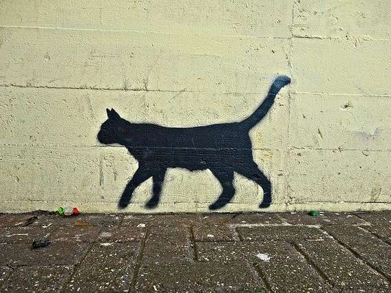 Graffiti gato2