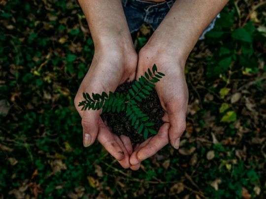 Actividad Los oficios del medio ambiente