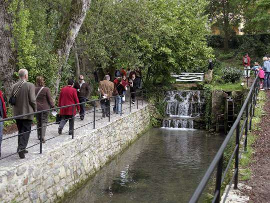 Visitas guiadas al Jardín Botánico