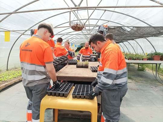 Alumnado módulo de jardinería Escuela Taller "La Casina" trabajando en invernadero