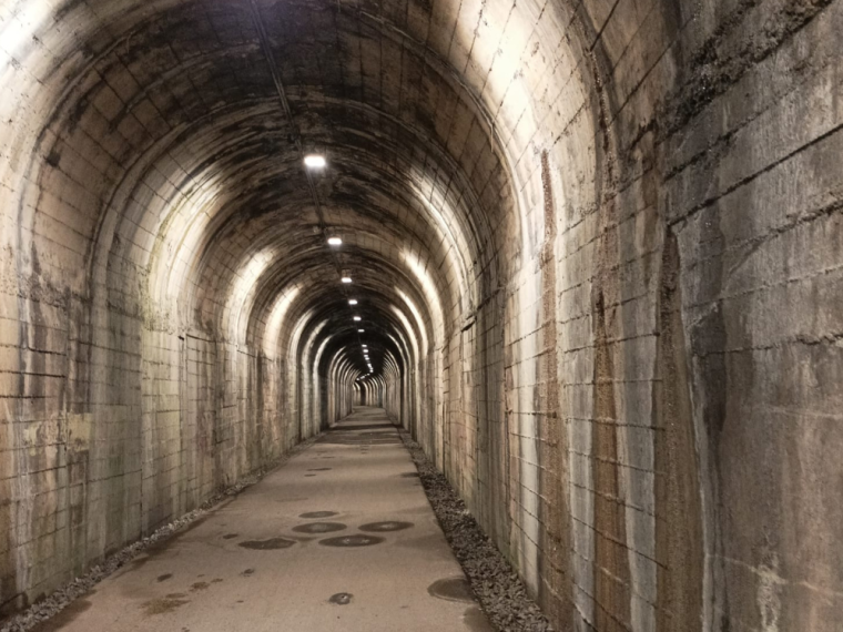 Tunel La Camocha
