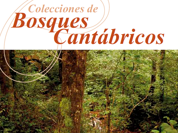 bosques cantabricos JBA