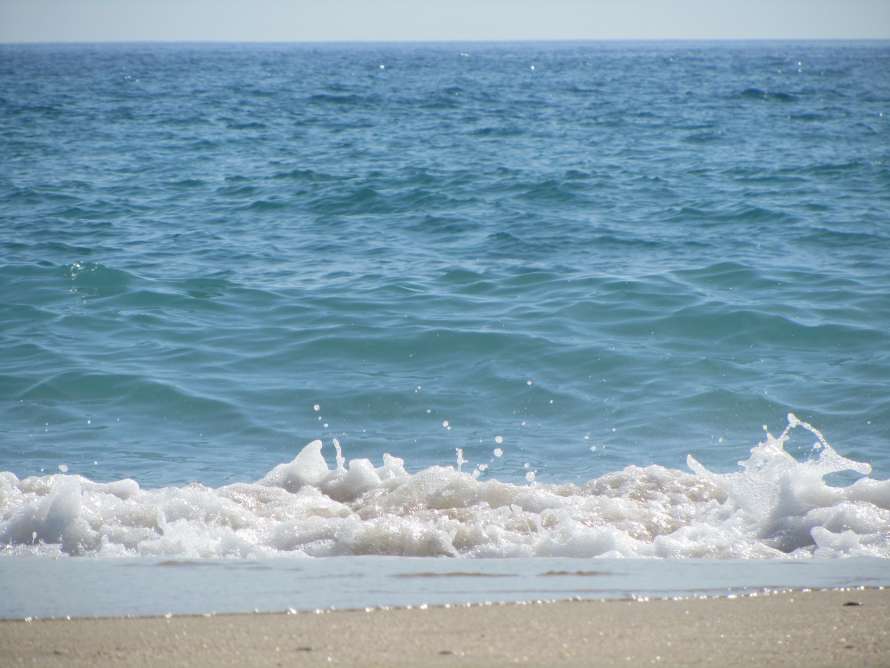 playa con olas