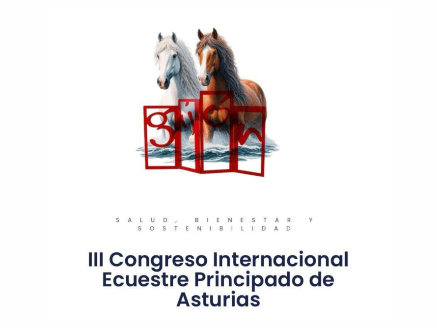 Ecuestre