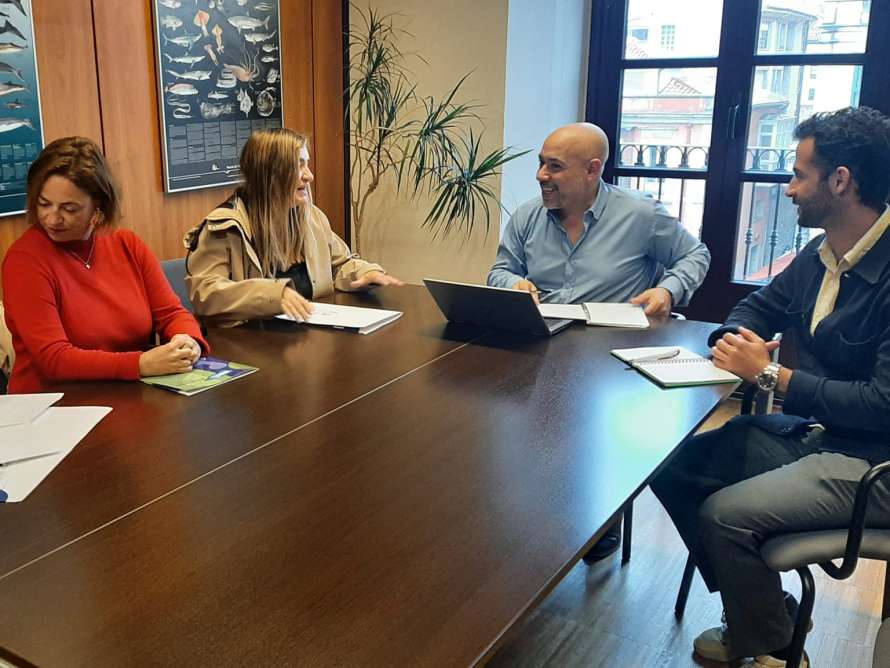 Reunión con COCEMFE
