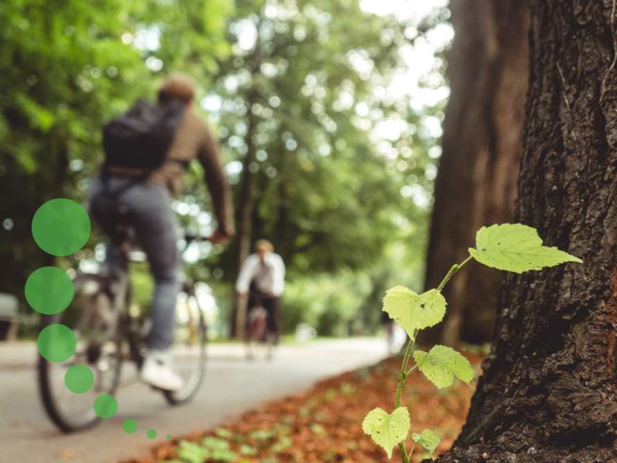 Transición ecológica