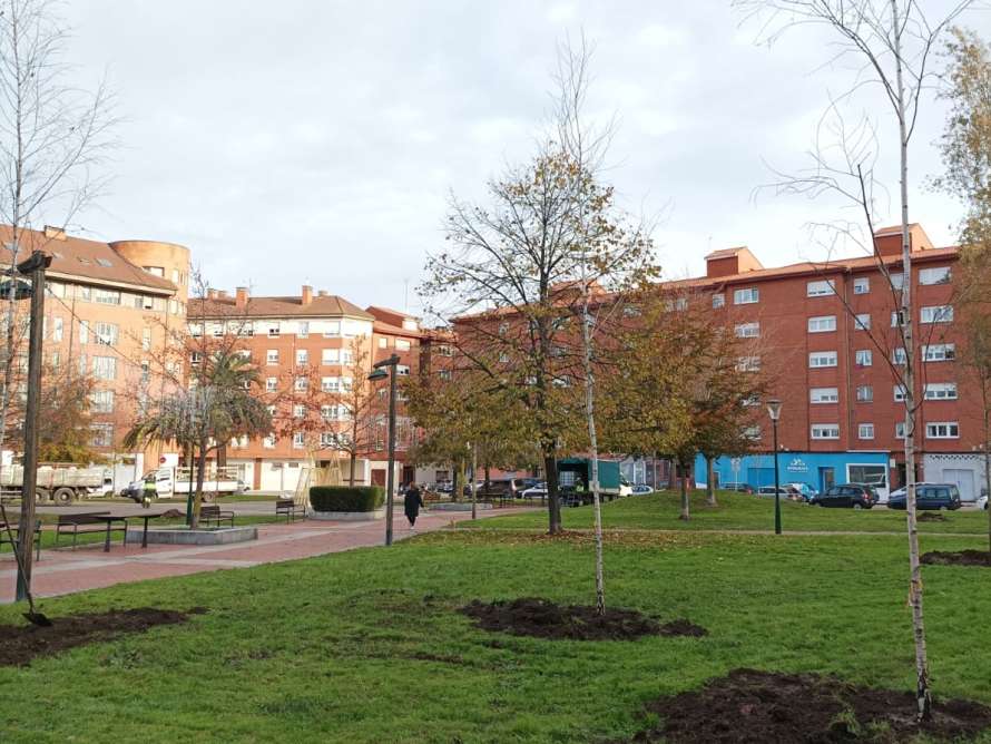 Parque de las Palmeras