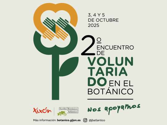 voluntariado 2 jba