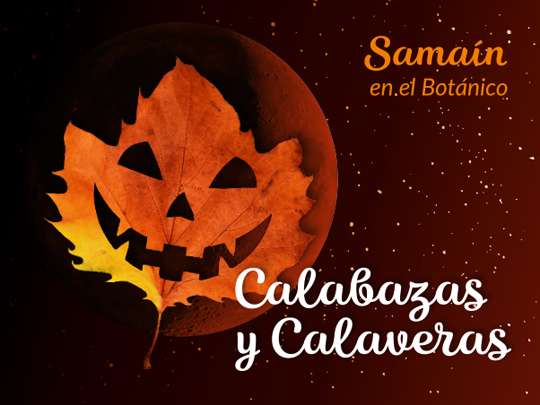 Calabazas y Calaveras