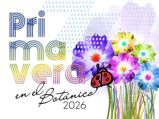 Primavera 26