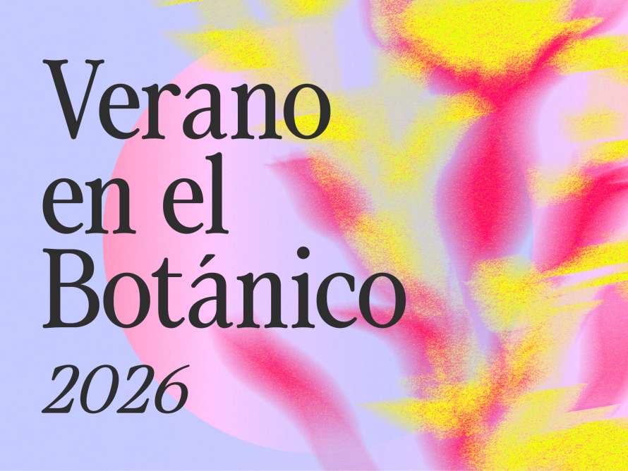 Verano en el botánico