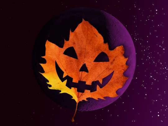 Samaín 2026: Calabazas y Calaveras
