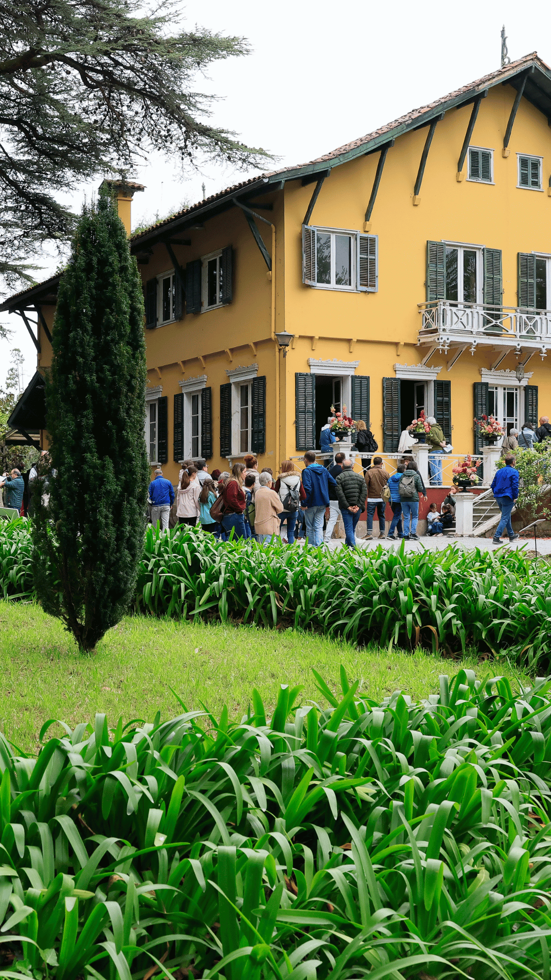 JARDIN BOTANICO.png