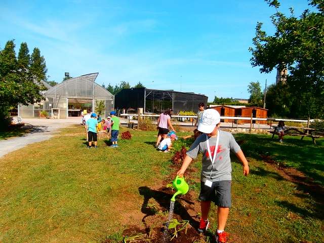 niños y niñas jugando en el botánico