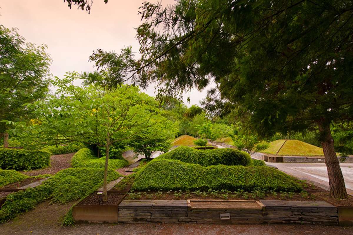jardin