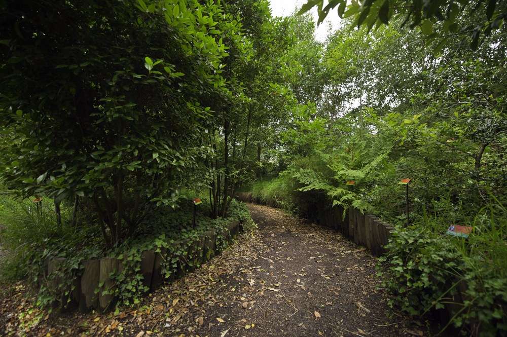 jardin