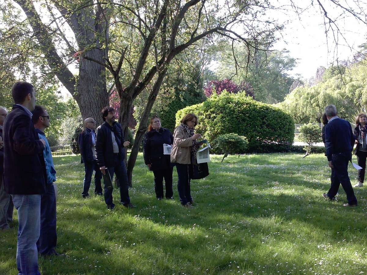 Bosques y árboles de Asturias