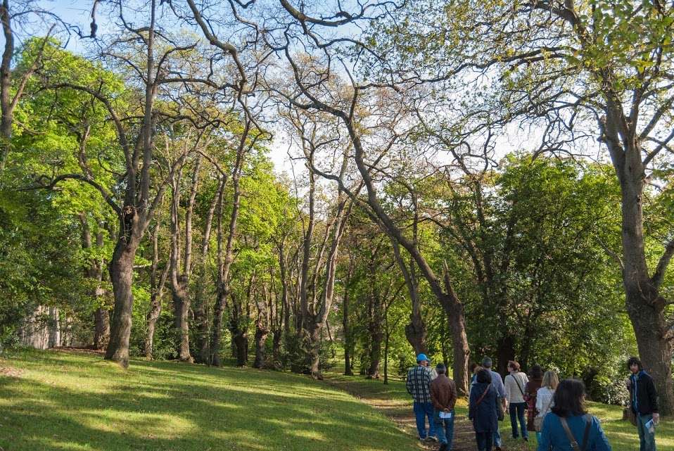 Bosques y árboles de Asturias