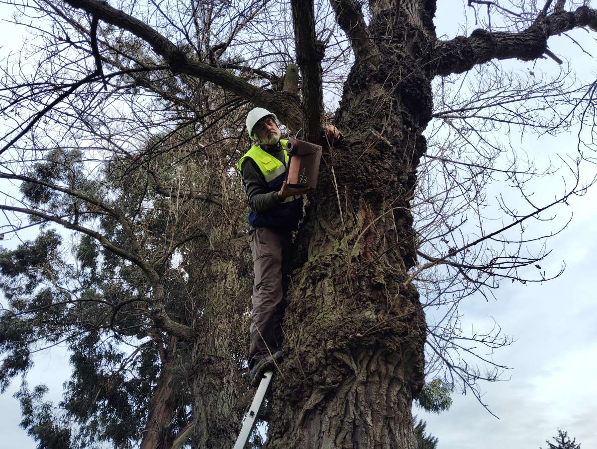 Instalando Refugios de Biodiversidad