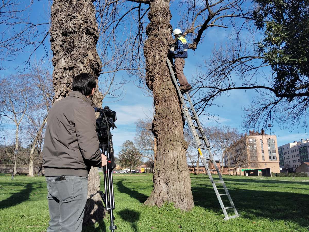 Instalando Refugios de Biodiversidad