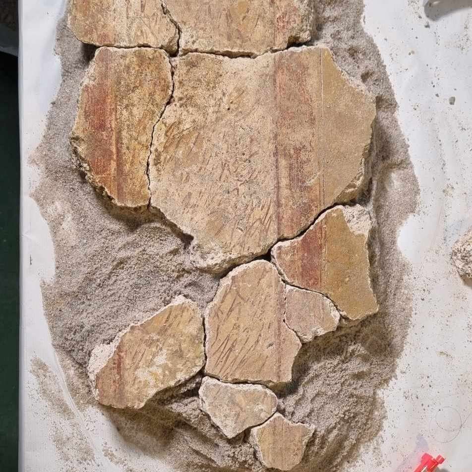 Puzle de fragmentos de pinturas de las Termas