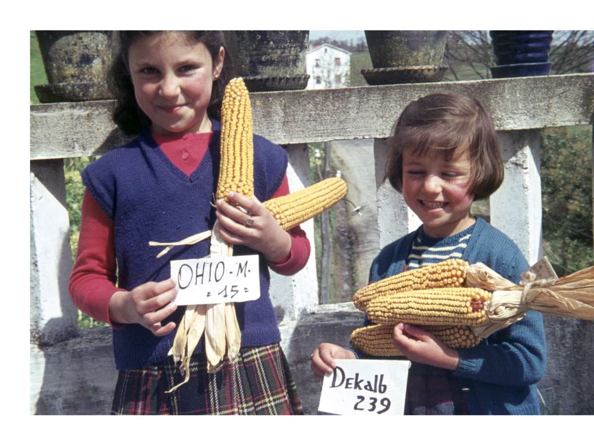 Julio A. Fernández Lamuño. Las hijas del fotógrafo, responsable de la Granja Agrícola de Tineo, h. 1969