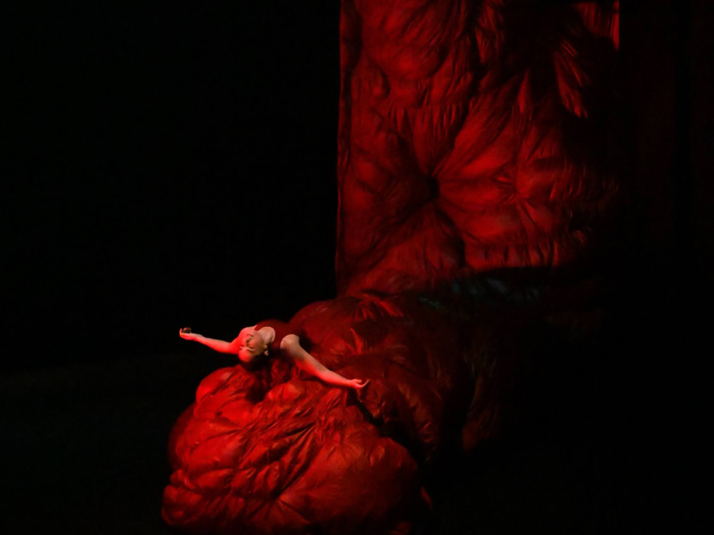 Foto Danza Xixón 