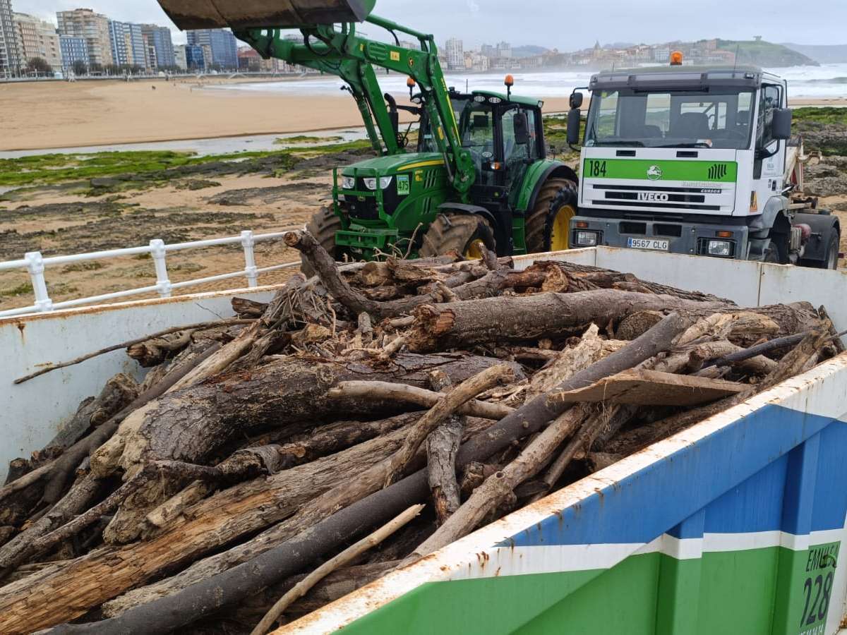 Recogida de restos naturales